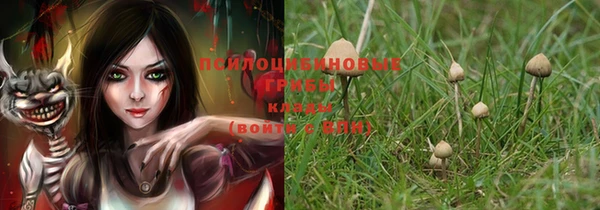 крисы Заволжье